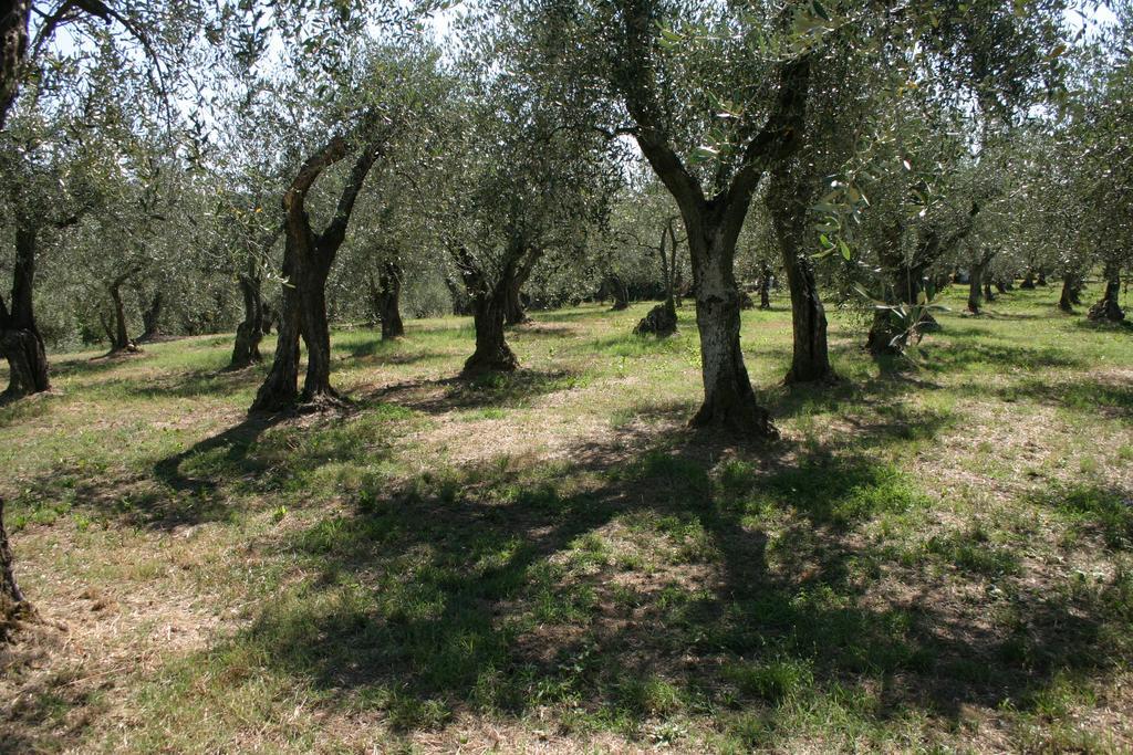Casa Fontanino Bed and Breakfast Altopascio Buitenkant foto