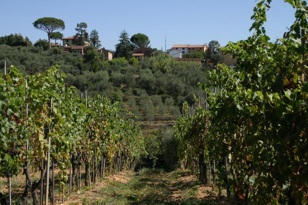 Casa Fontanino Bed and Breakfast Altopascio Buitenkant foto